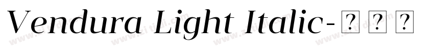 Vendura Light Italic字体转换